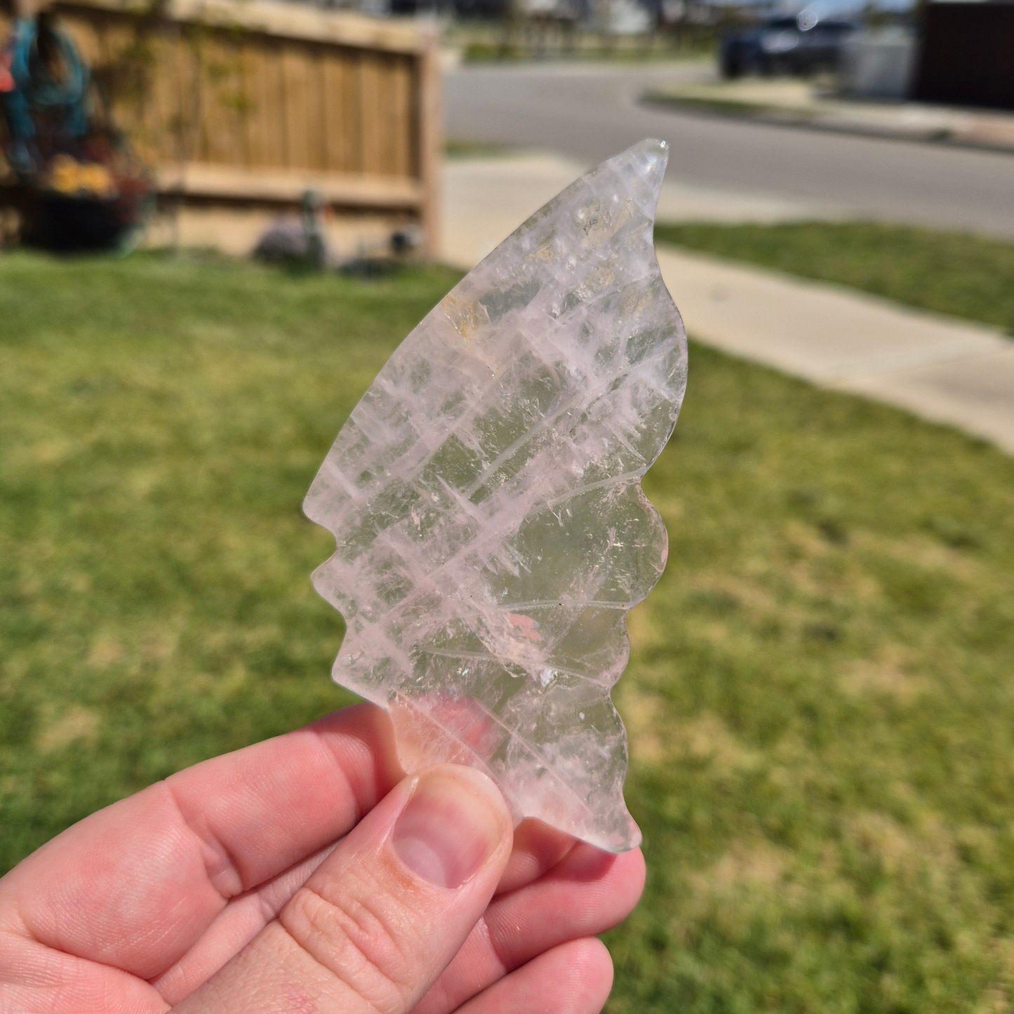 Crystals - Rose Quartz Butterfly Wings with Stand
