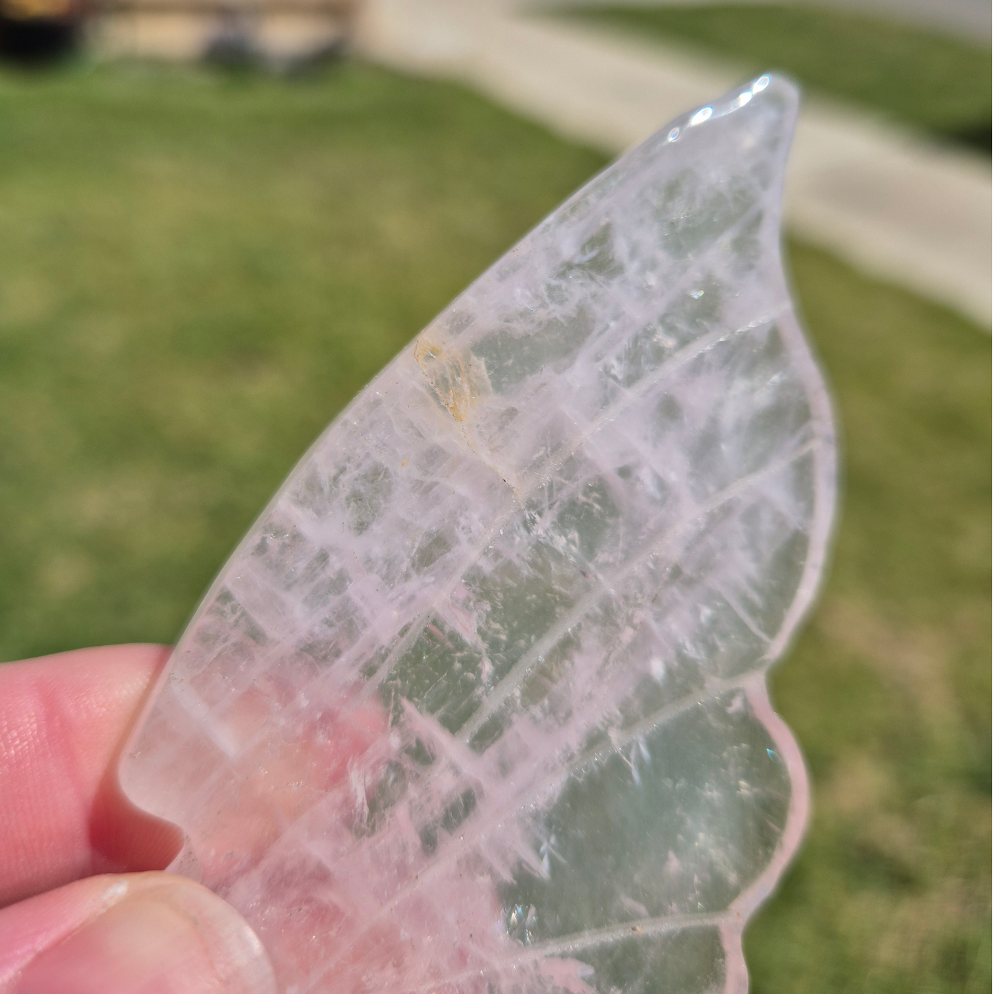 Crystals - Rose Quartz Butterfly Wings with Stand