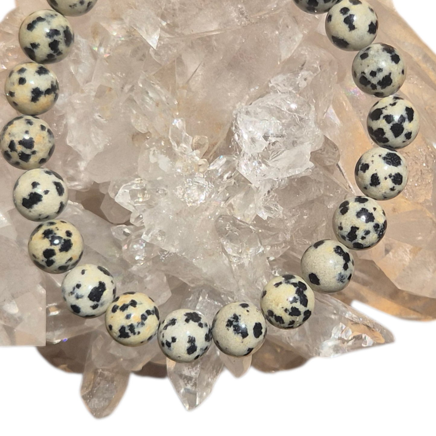 Crystals - Dalmatian Jasper Bracelet