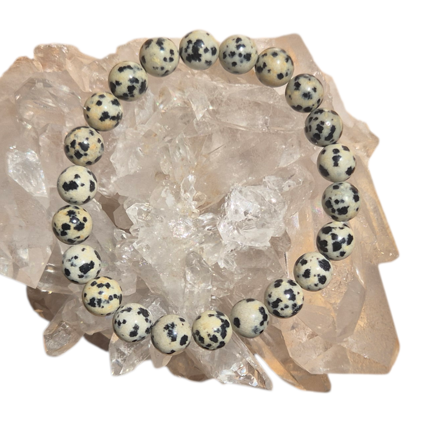 Crystals - Dalmatian Jasper Bracelet
