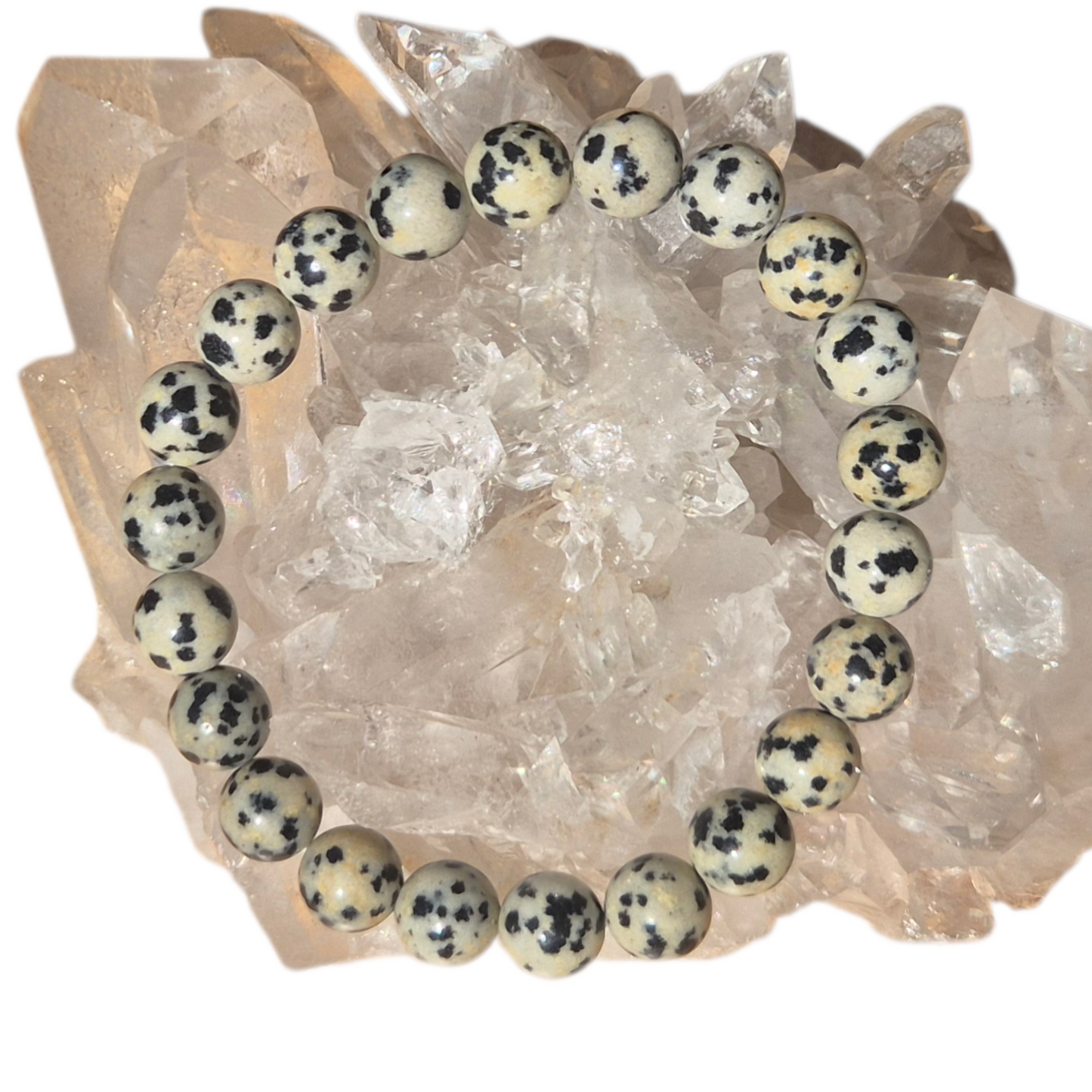 Crystals - Dalmatian Jasper Bracelet
