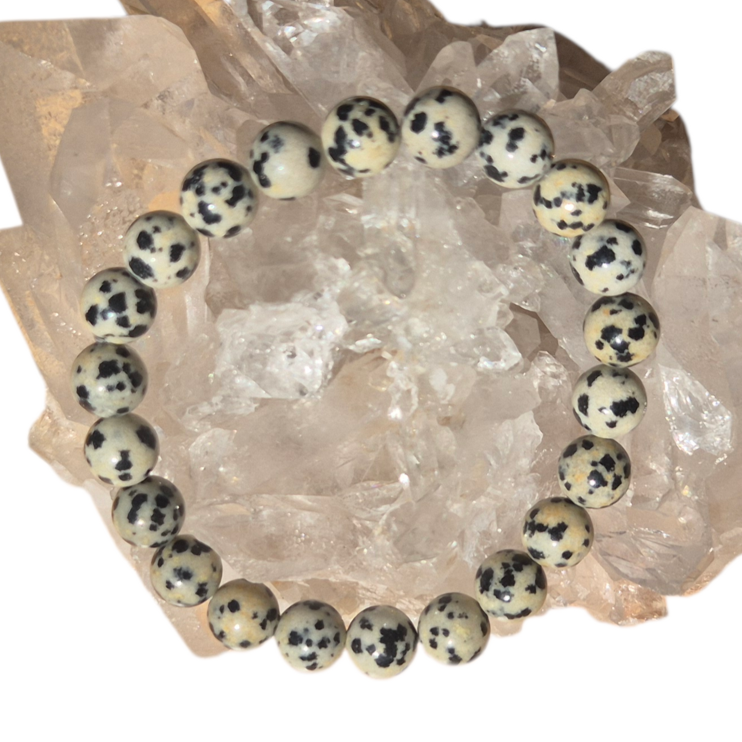 Crystals - Dalmatian Jasper Bracelet