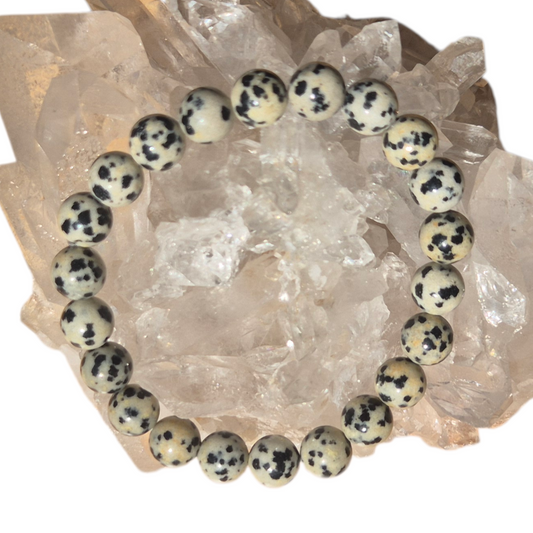 Crystals - Dalmatian Jasper Bracelet