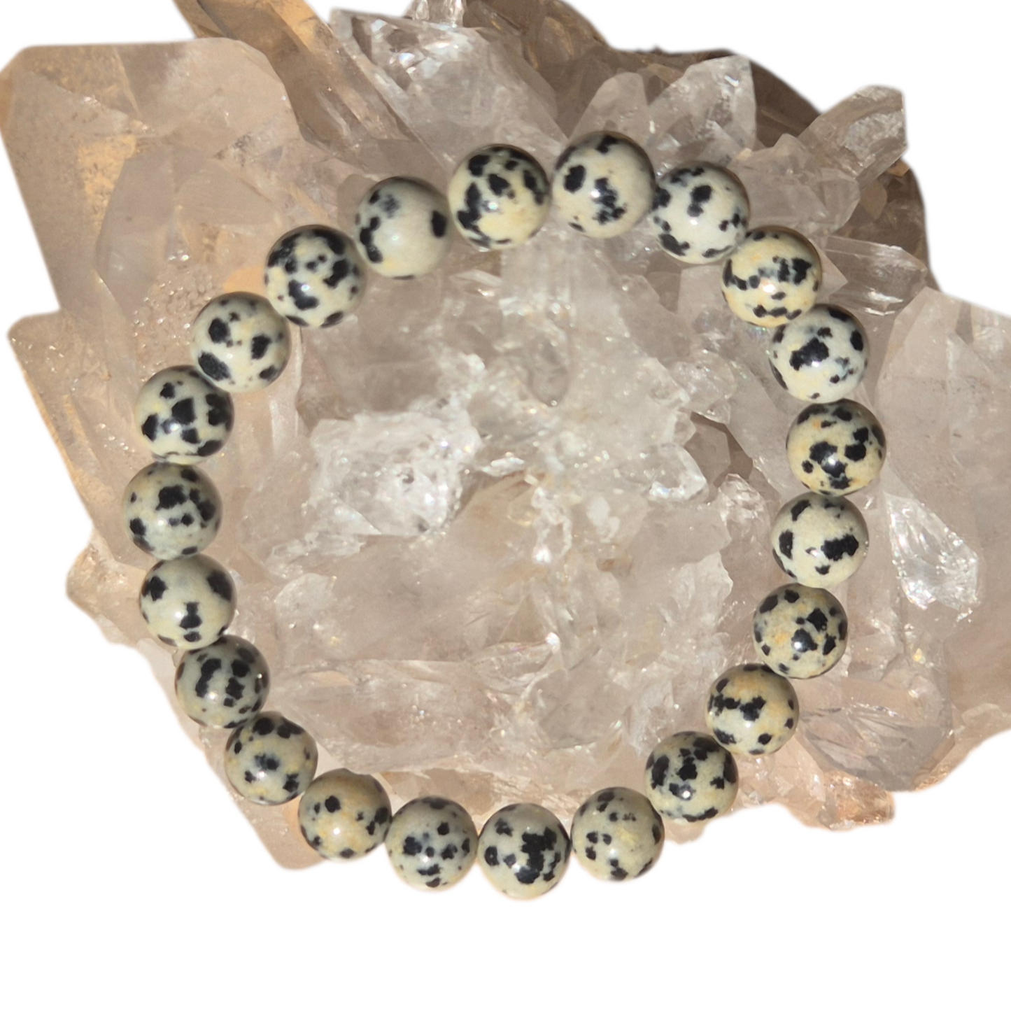 Crystals - Dalmatian Jasper Bracelet