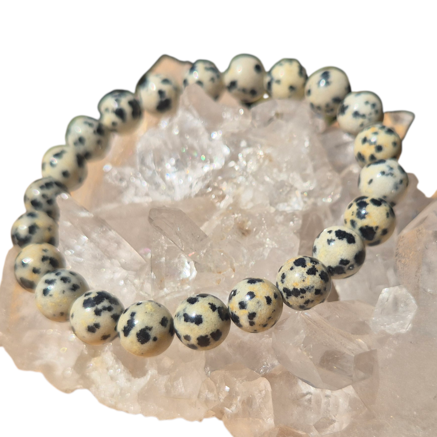Crystals - Dalmatian Jasper Bracelet