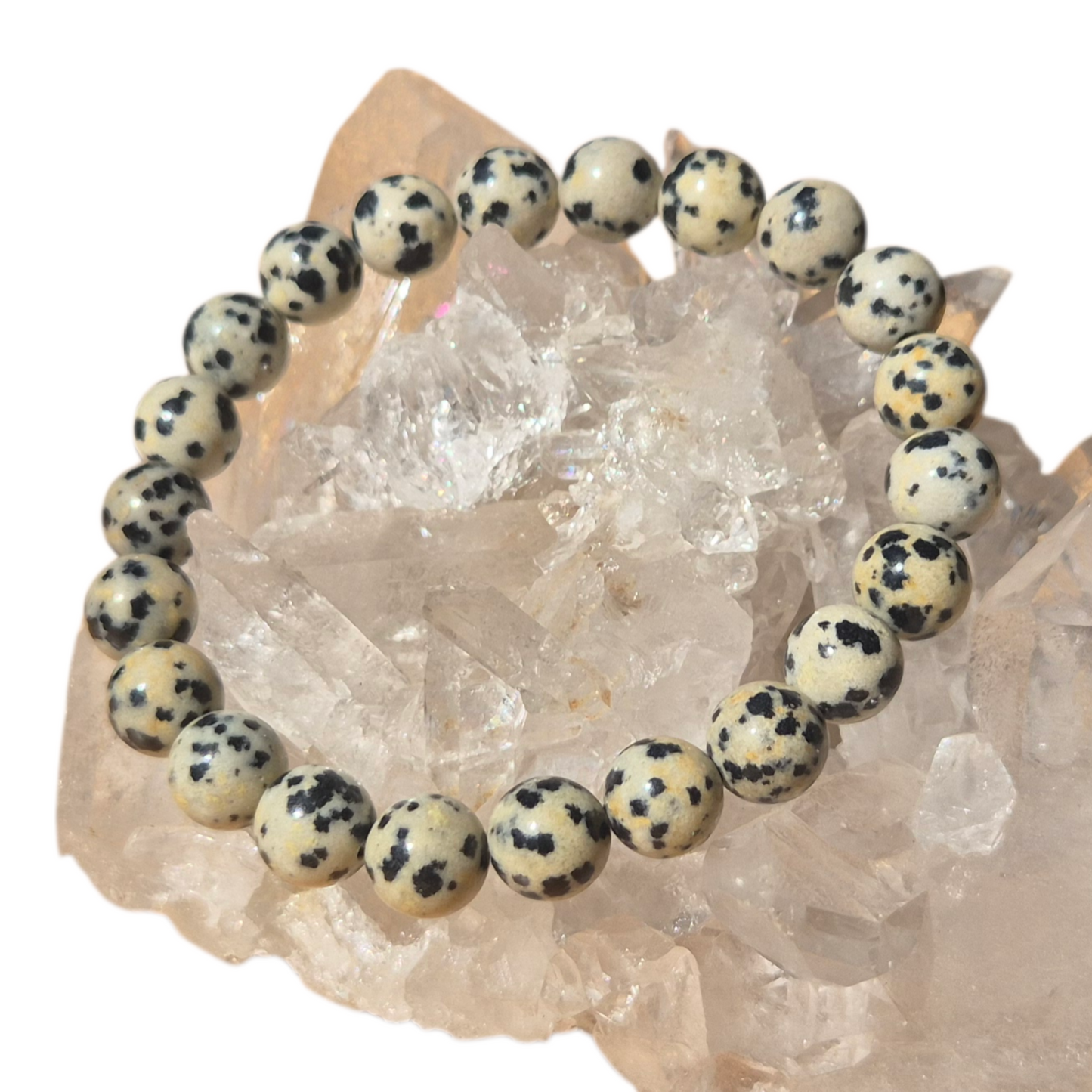 Crystals - Dalmatian Jasper Bracelet
