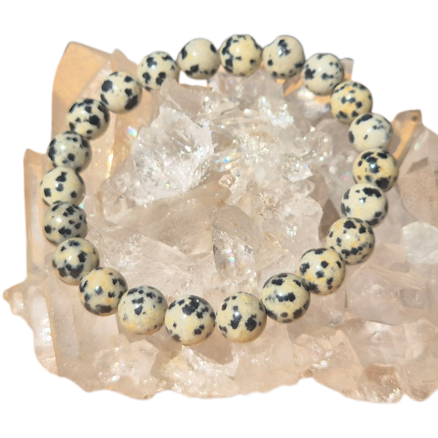 Crystals - Dalmatian Jasper Bracelet