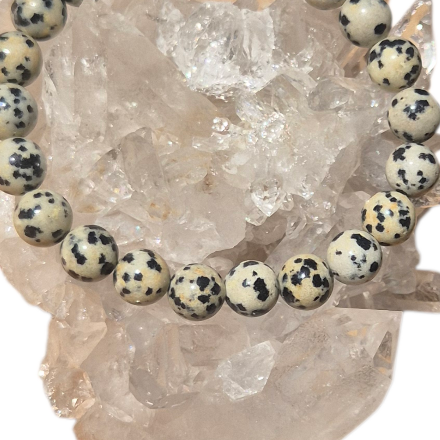 Crystals - Dalmatian Jasper Bracelet