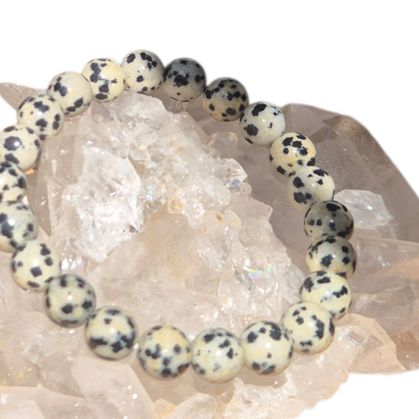 Crystals - Dalmatian Jasper Bracelet