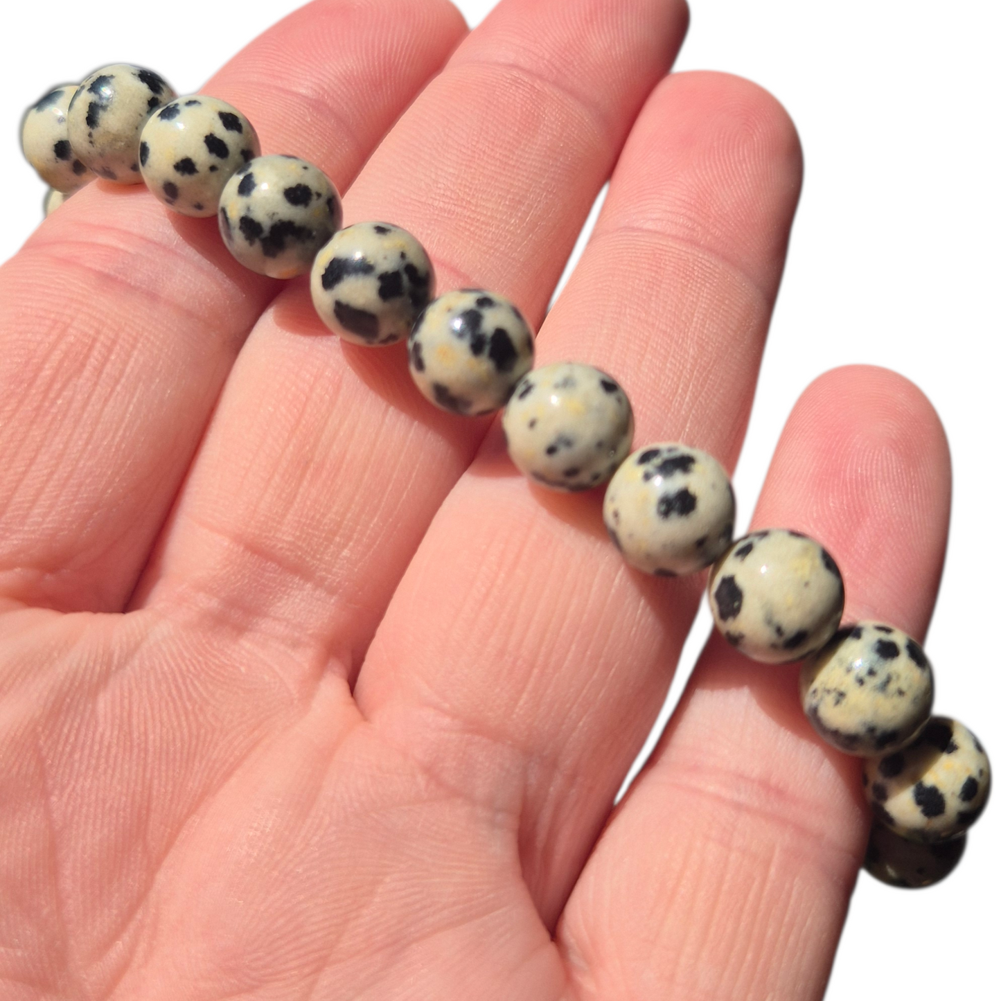 Crystals - Dalmatian Jasper Bracelet