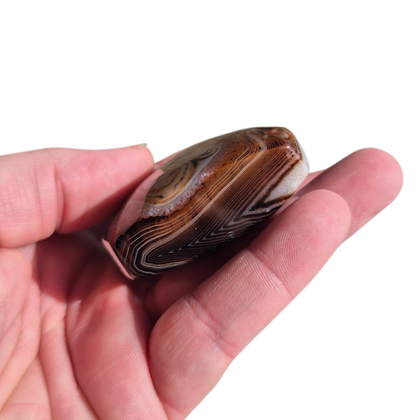 Crystals - Sardonyx Freeform