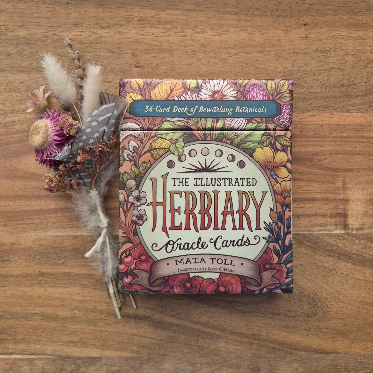 The Illustrated Herbiary Oracle Cards