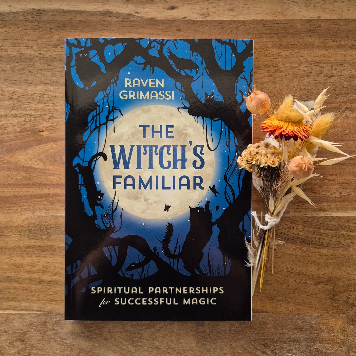 The Witch's Familiar
