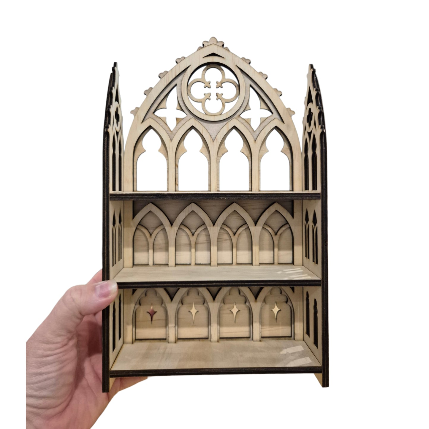 Gothic Curiosity Cabinet