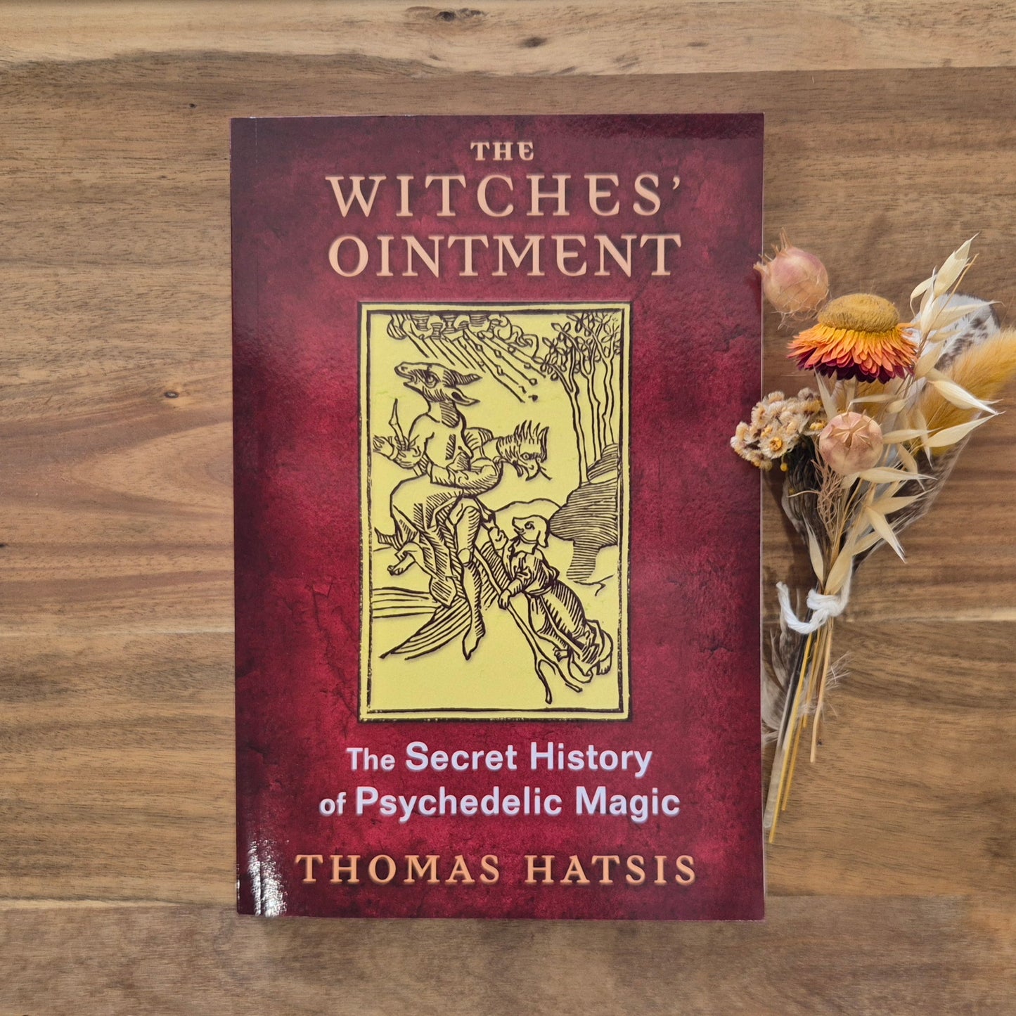 The Witches' Ointment