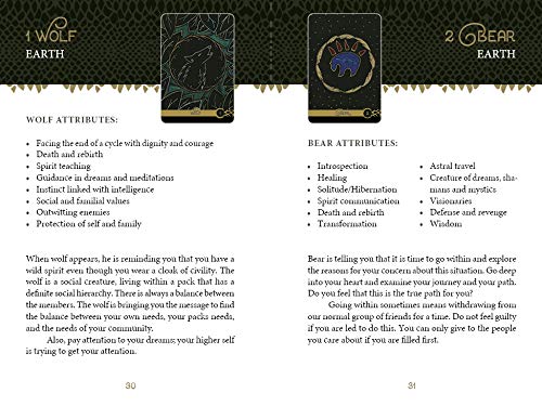 Wild Elemental Oracle