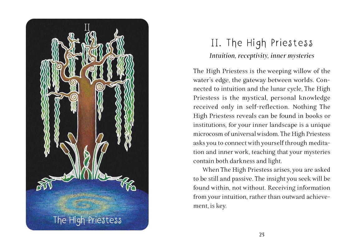 The Animystic Tarot