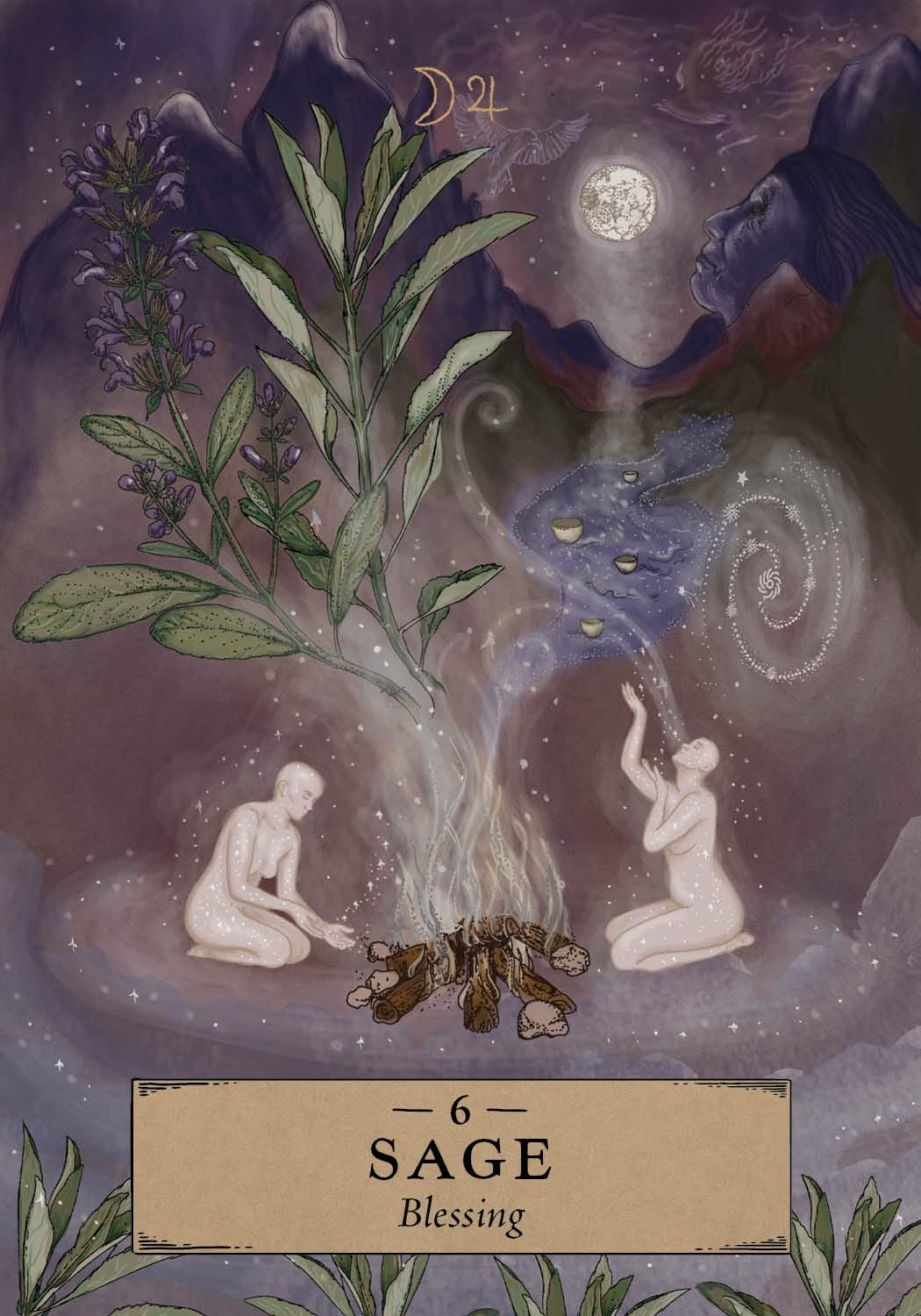 The Herbal Astrology Pocket Oracle