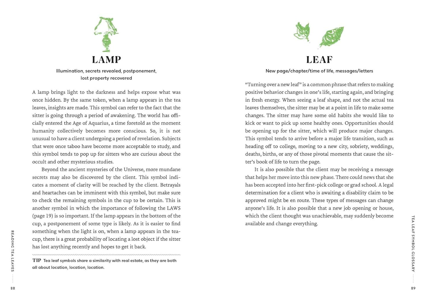 Reading Tea Leaves
