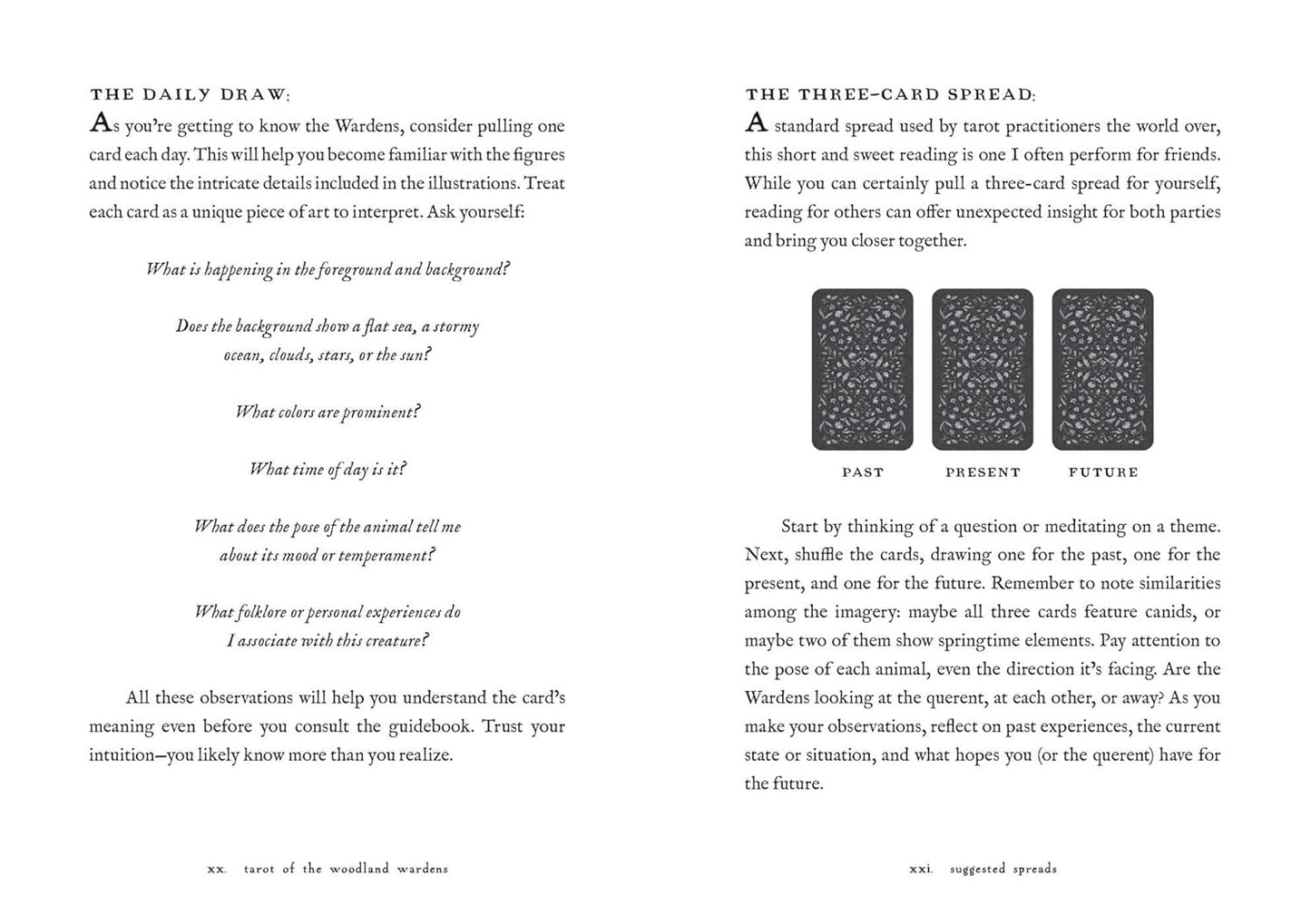 Tarot of the Woodland Wardens