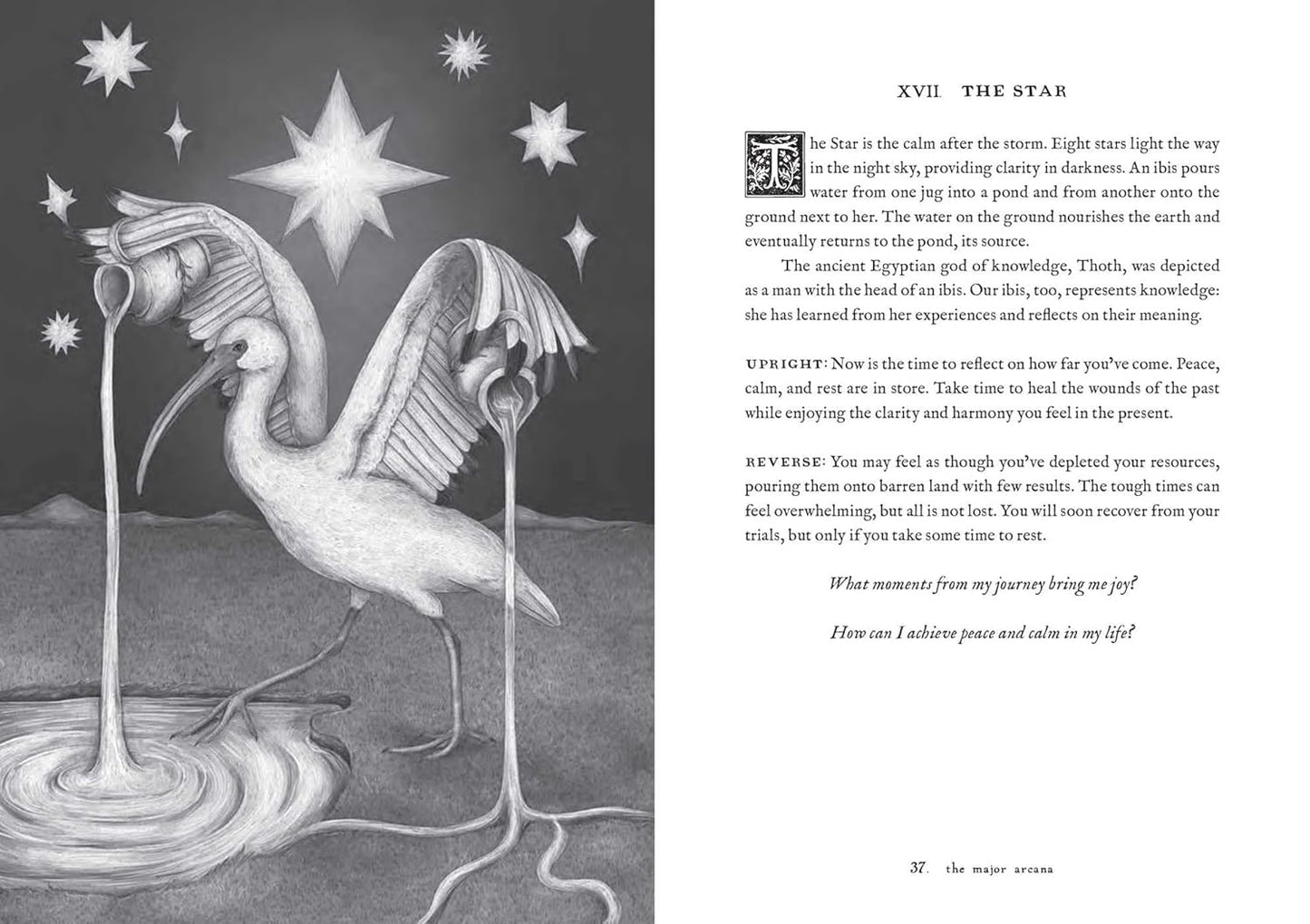 Tarot of the Woodland Wardens