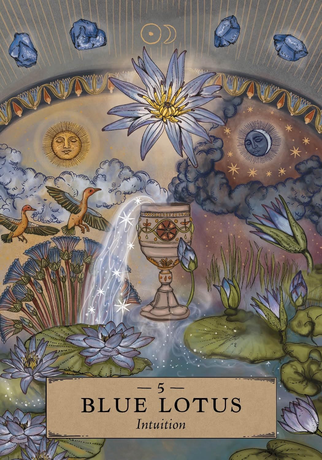 The Herbal Astrology Pocket Oracle