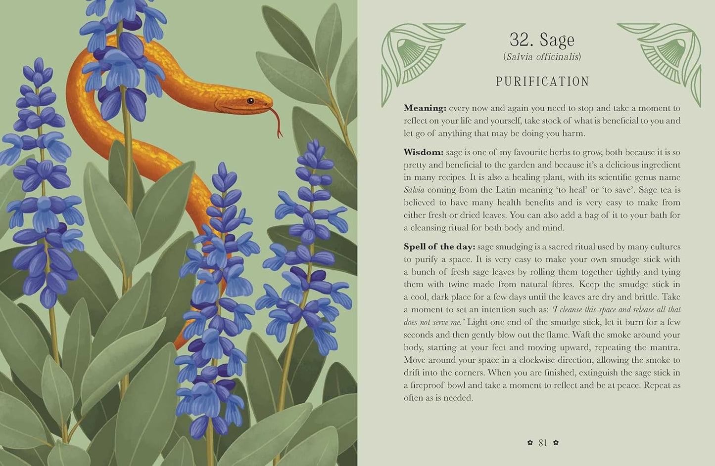 Kate Forsyth's Hedgewitch Oracle