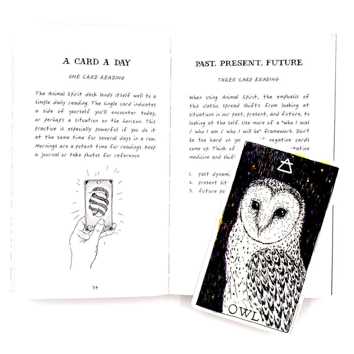 The Wild Unknown Animal Spirit Deck