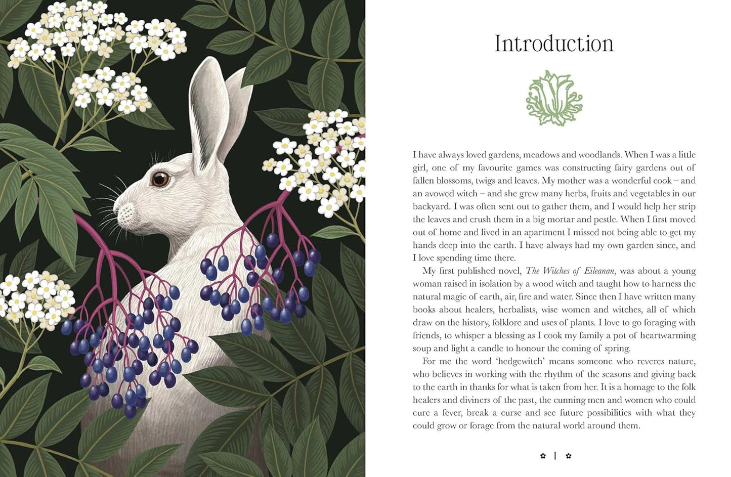 Kate Forsyth's Hedgewitch Oracle