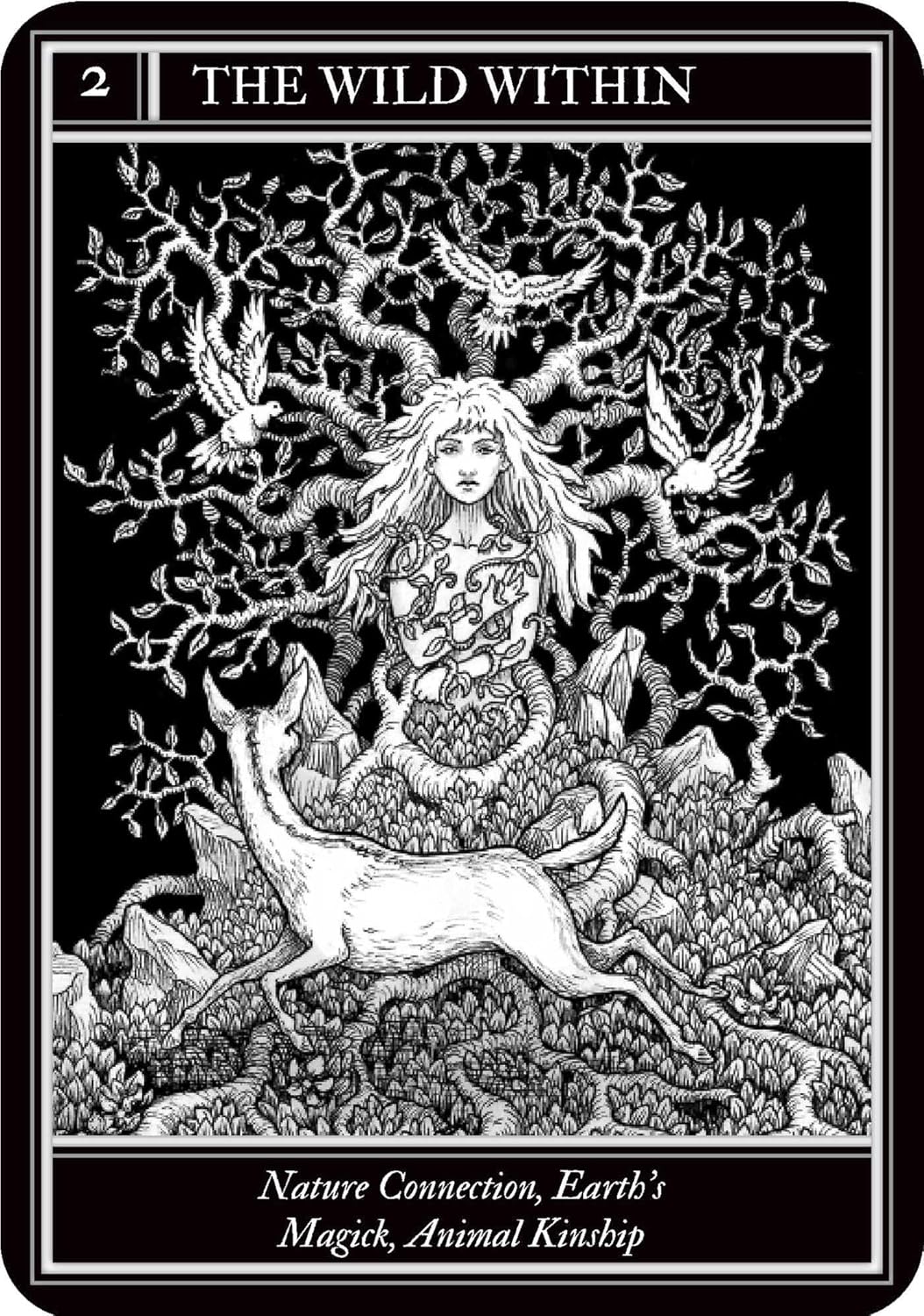 Coven Oracle
