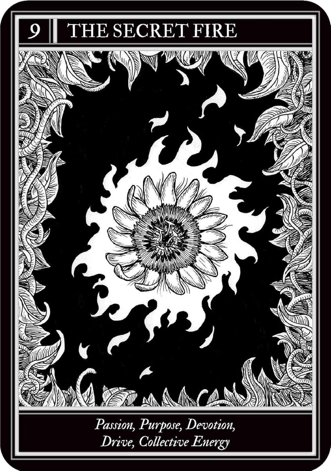 Coven Oracle
