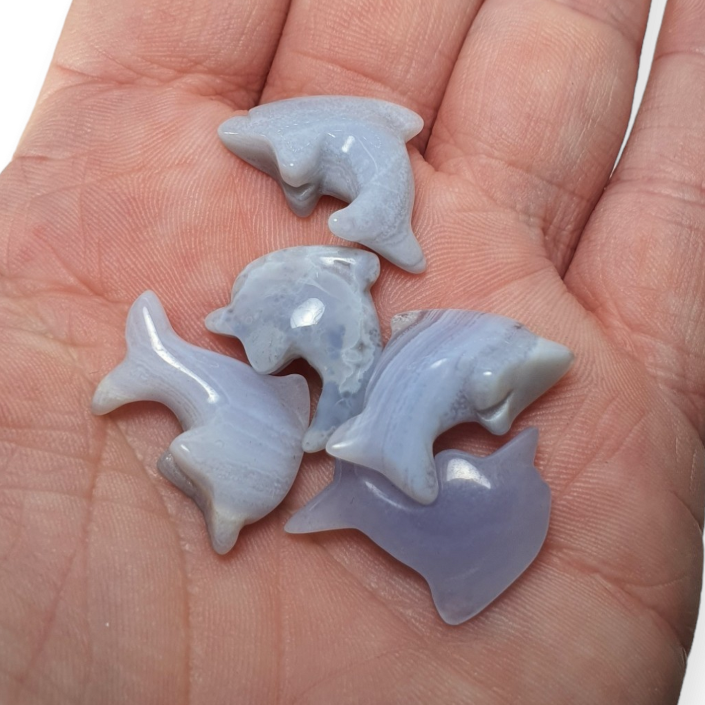 Crystals - Blue Lace Agate Dolphin Carvings