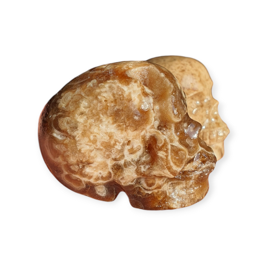 Crystals - Chocolate Flower Calcite Skull