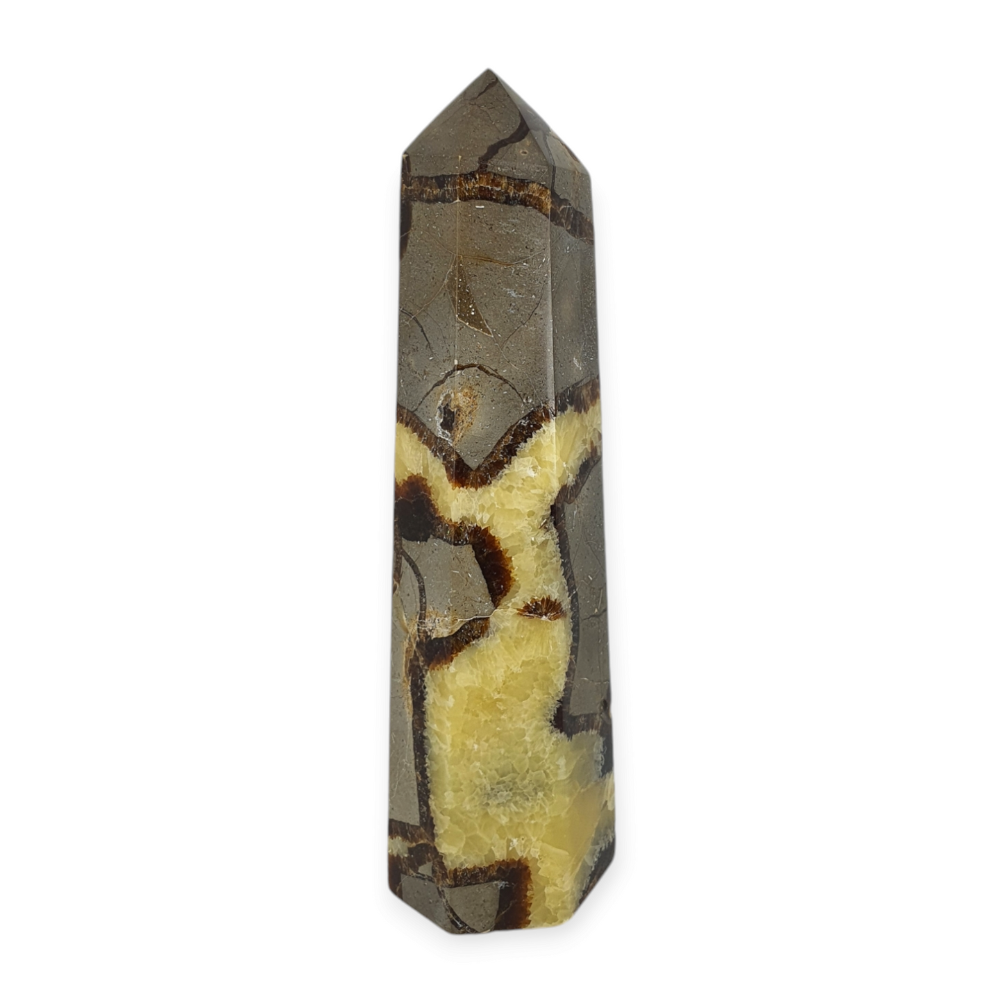 Crystals - Septarian Polished Generator/Point