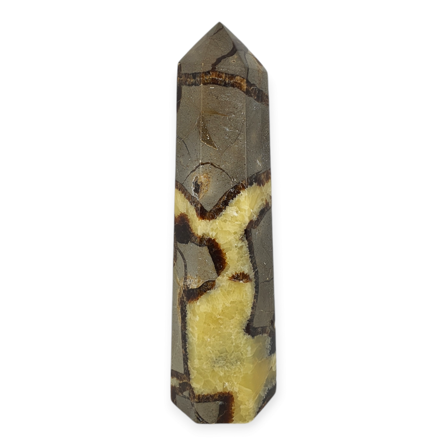 Crystals - Septarian Polished Generator/Point