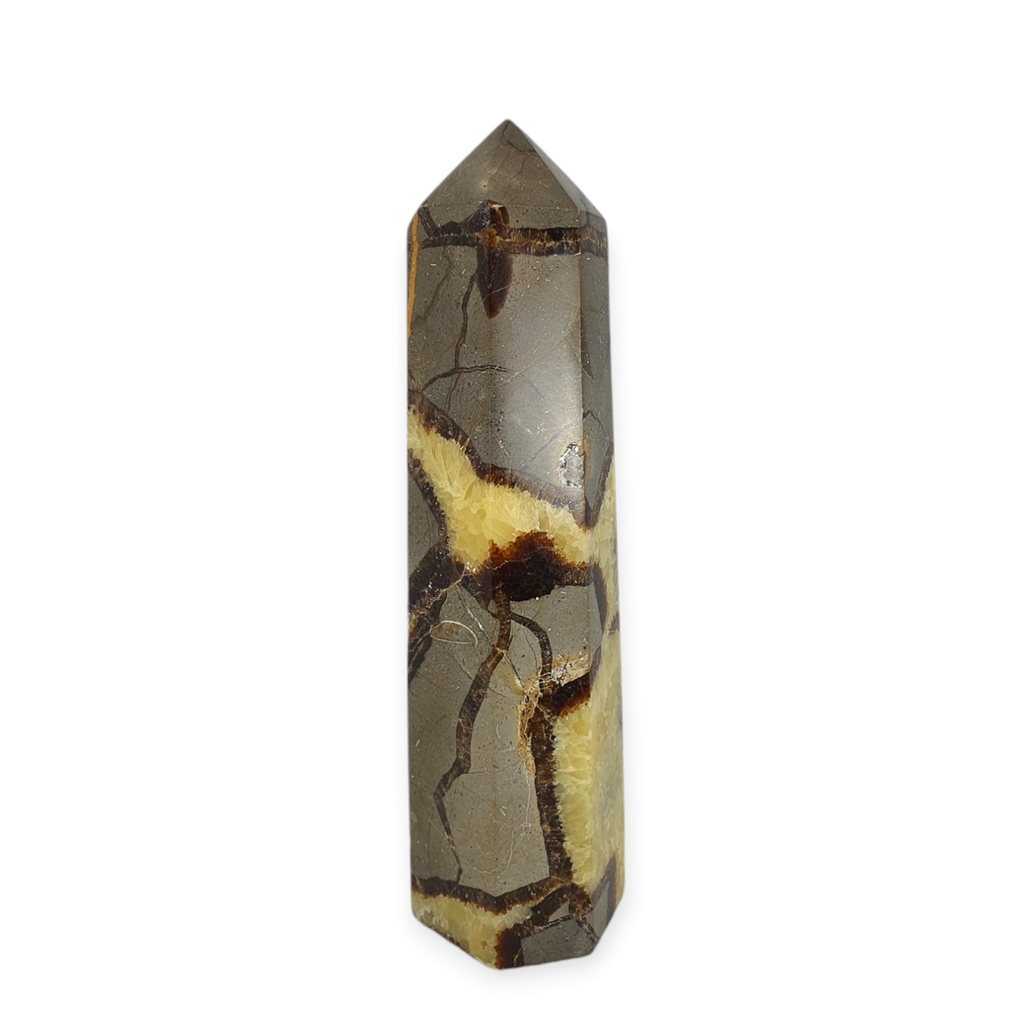 Crystals - Septarian Polished Generator/Point