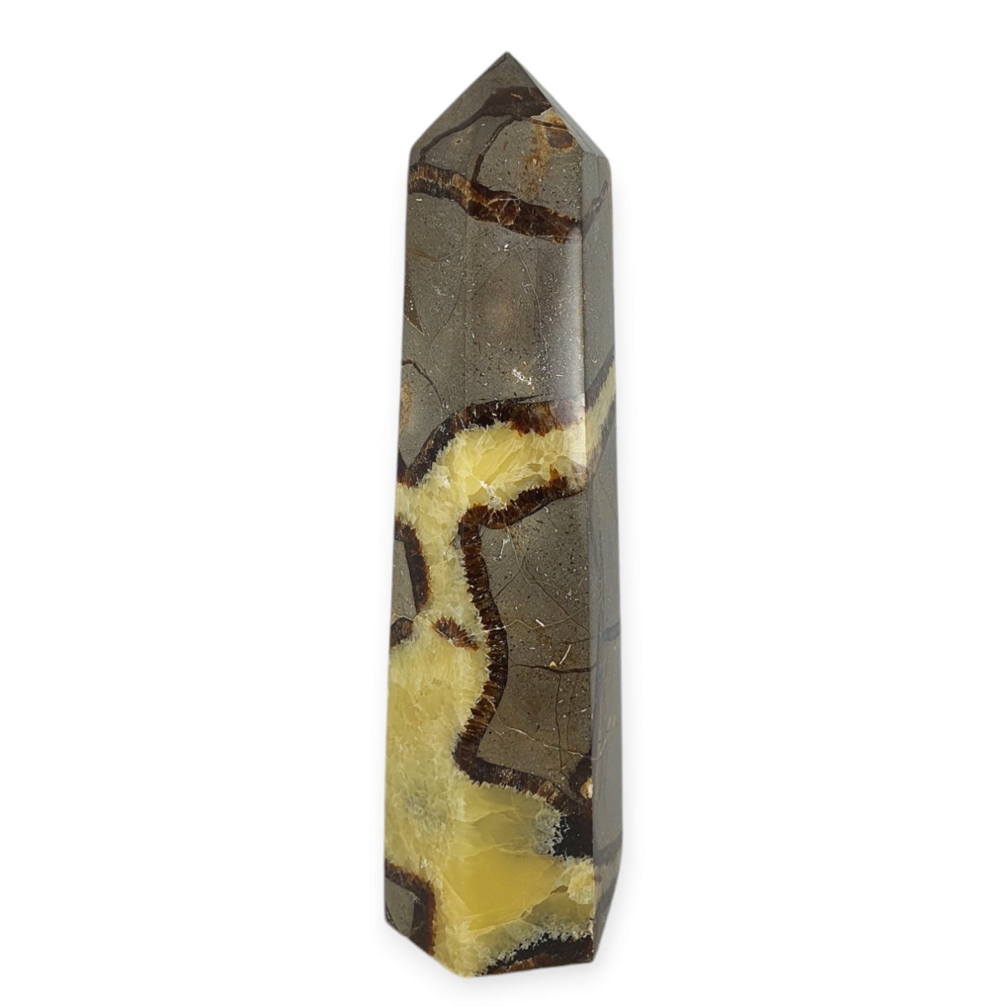 Crystals - Septarian Polished Generator/Point