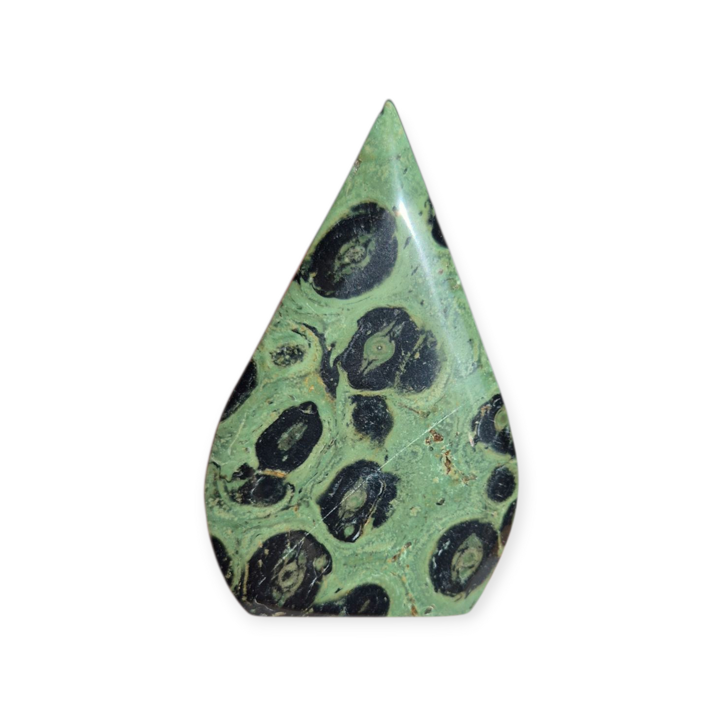 Crystals - Kambaba Jasper Freeform