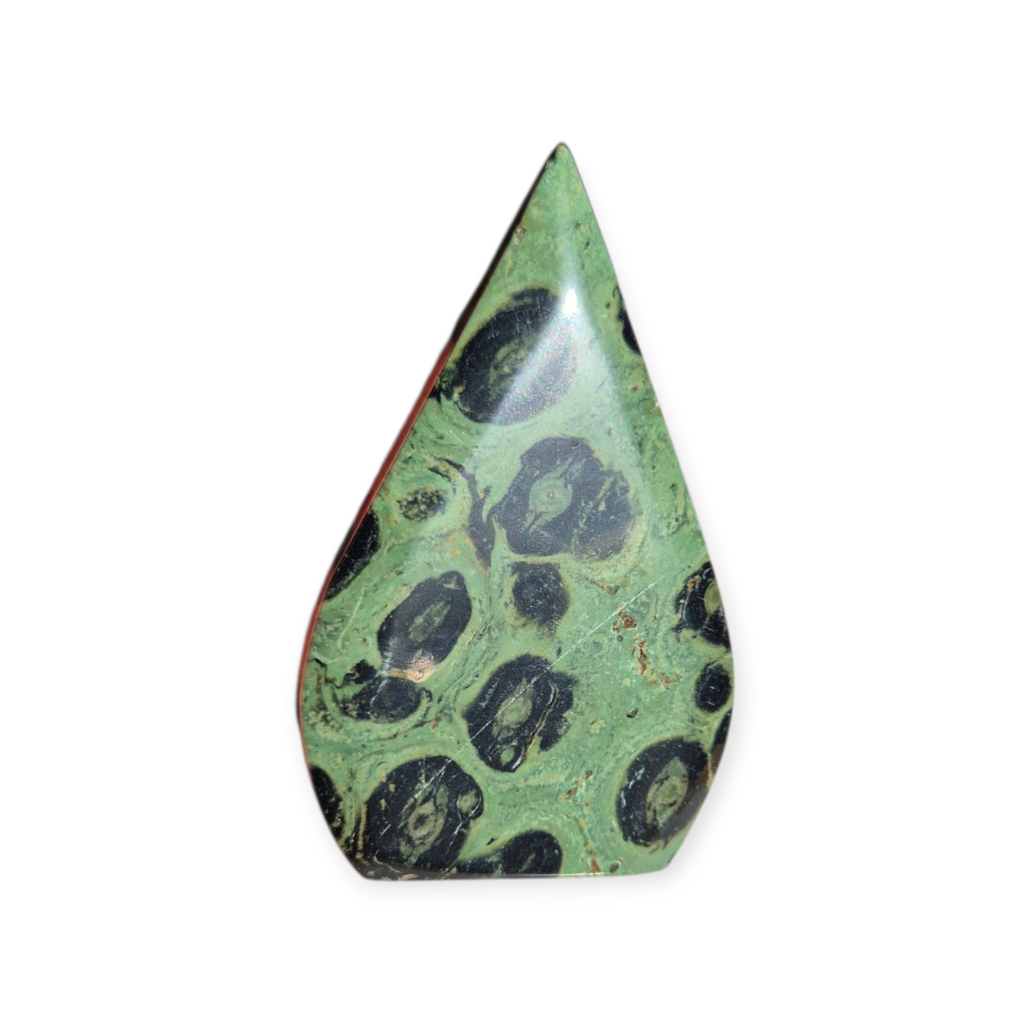 Crystals - Kambaba Jasper Freeform
