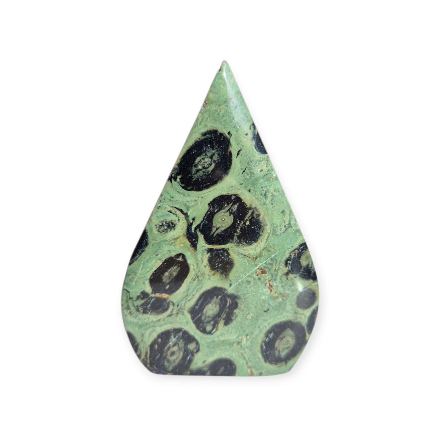 Crystals - Kambaba Jasper Freeform