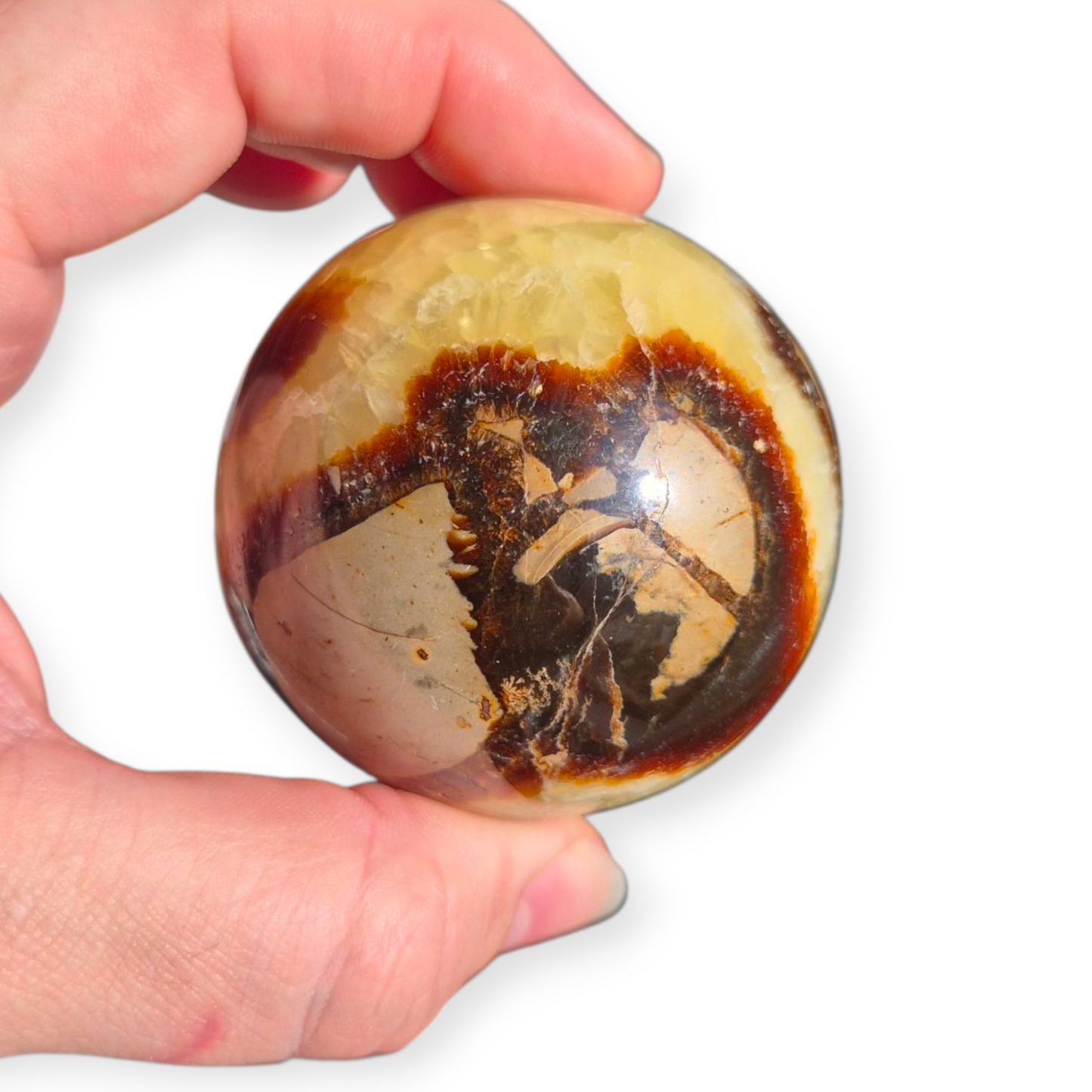 Crystals - Septarian Sphere