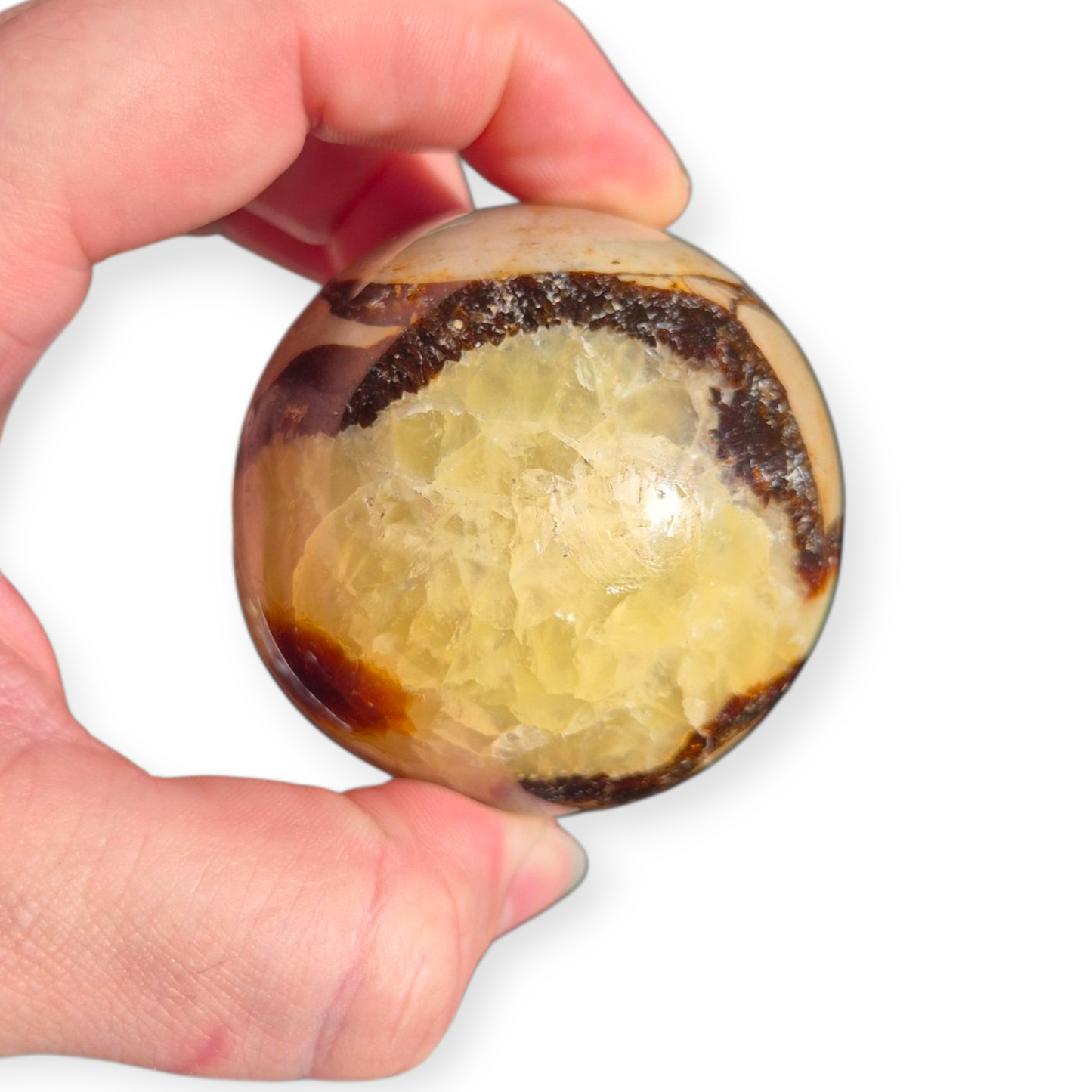 Crystals - Septarian Sphere