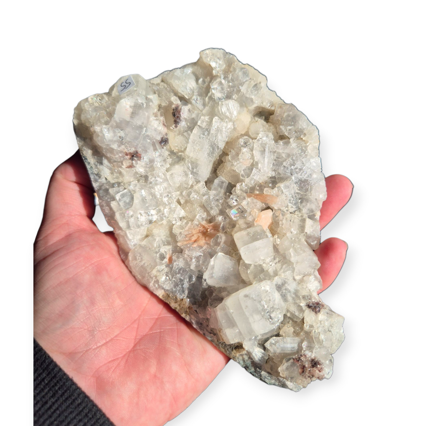 Crystals - Apophyllite Cluster