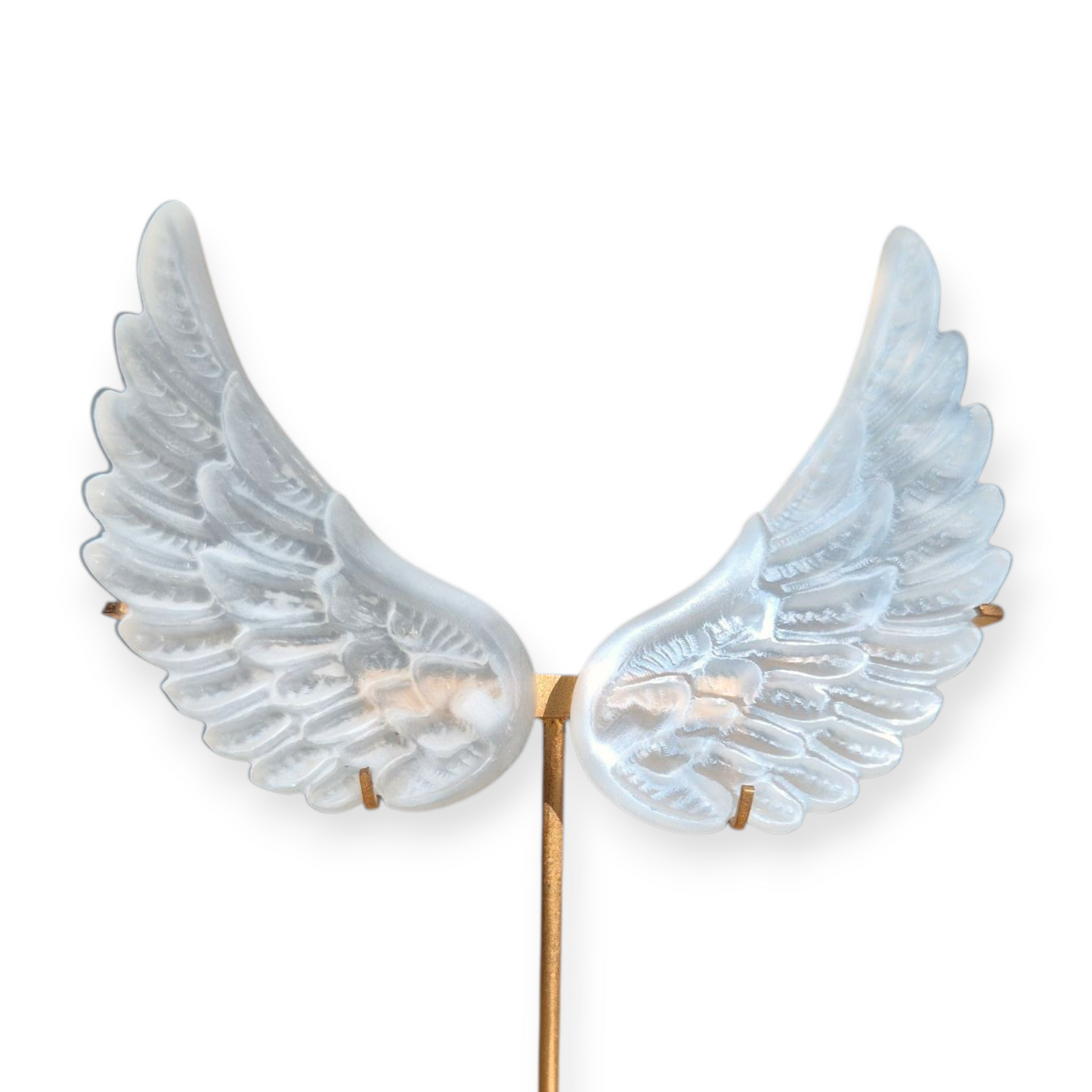 Crystals - Selenite Angel Wings on Stand