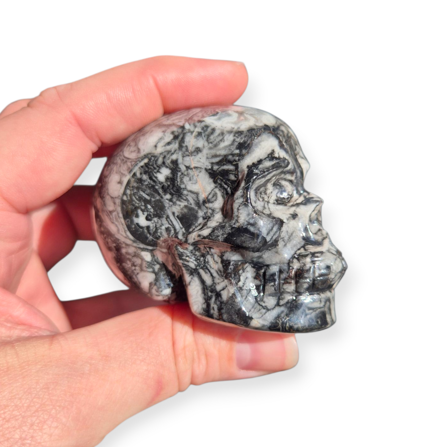 Crystals - Orthoceras Fossil Stone Skull