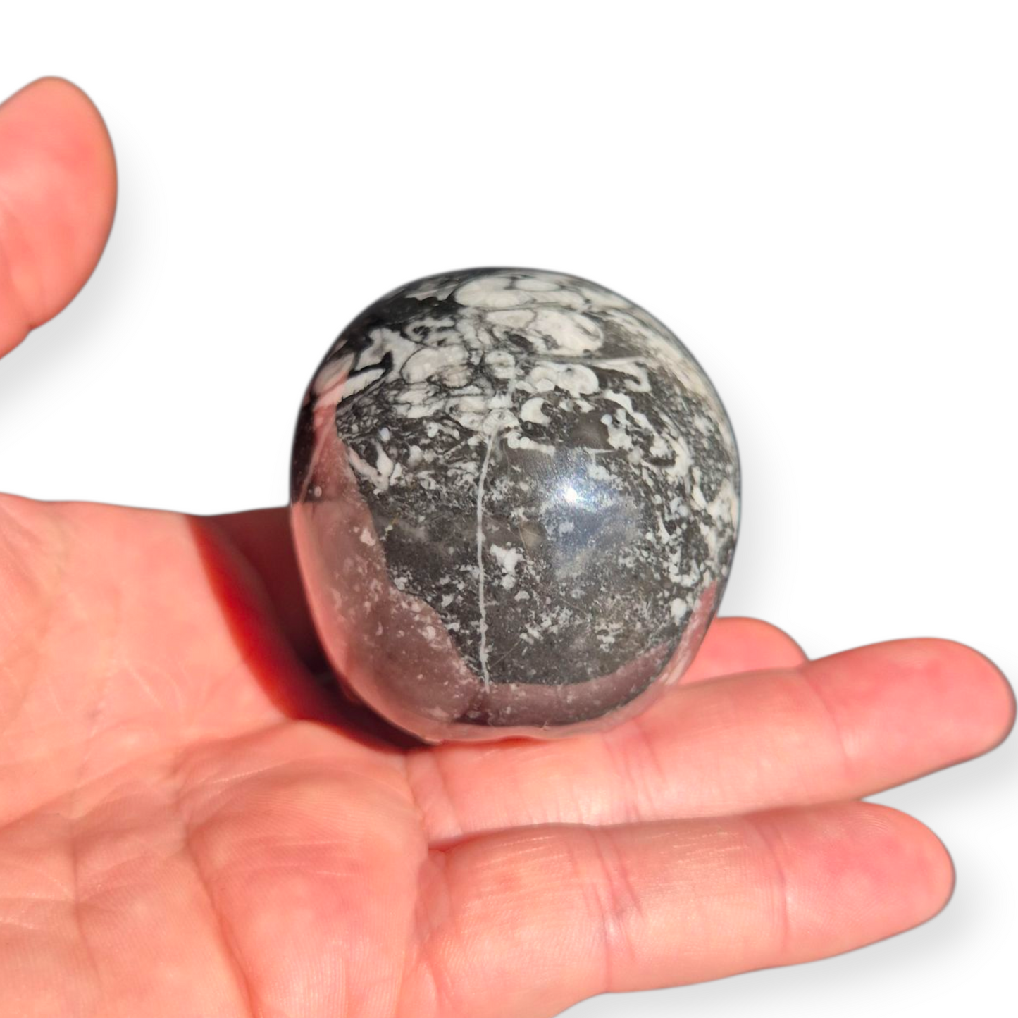 Crystals - Orthoceras Fossil Stone Skull