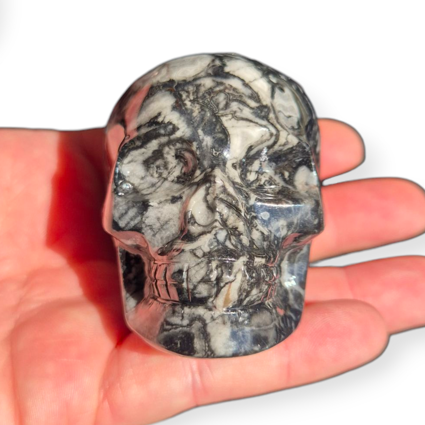 Crystals - Orthoceras Fossil Stone Skull