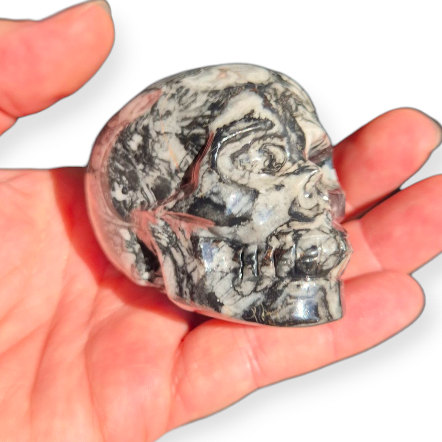 Crystals - Orthoceras Fossil Stone Skull