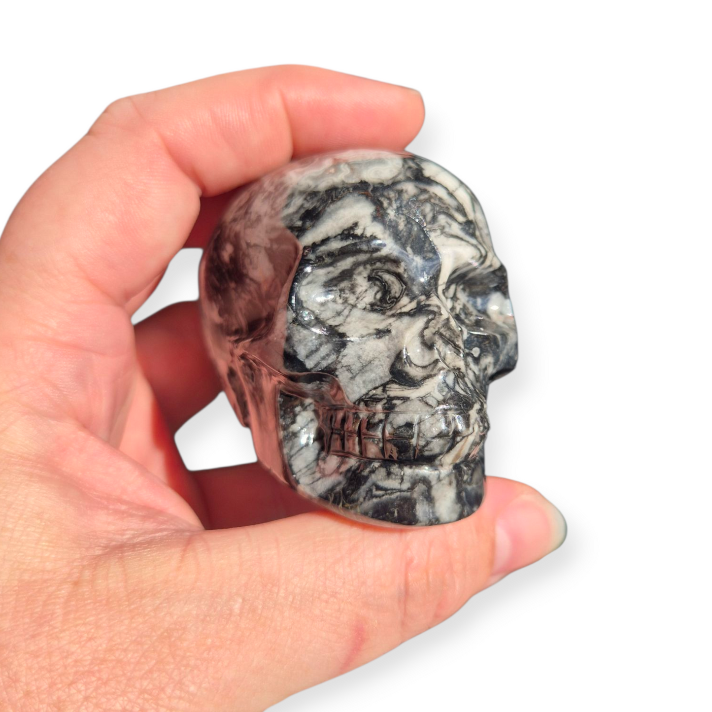 Crystals - Orthoceras Fossil Stone Skull