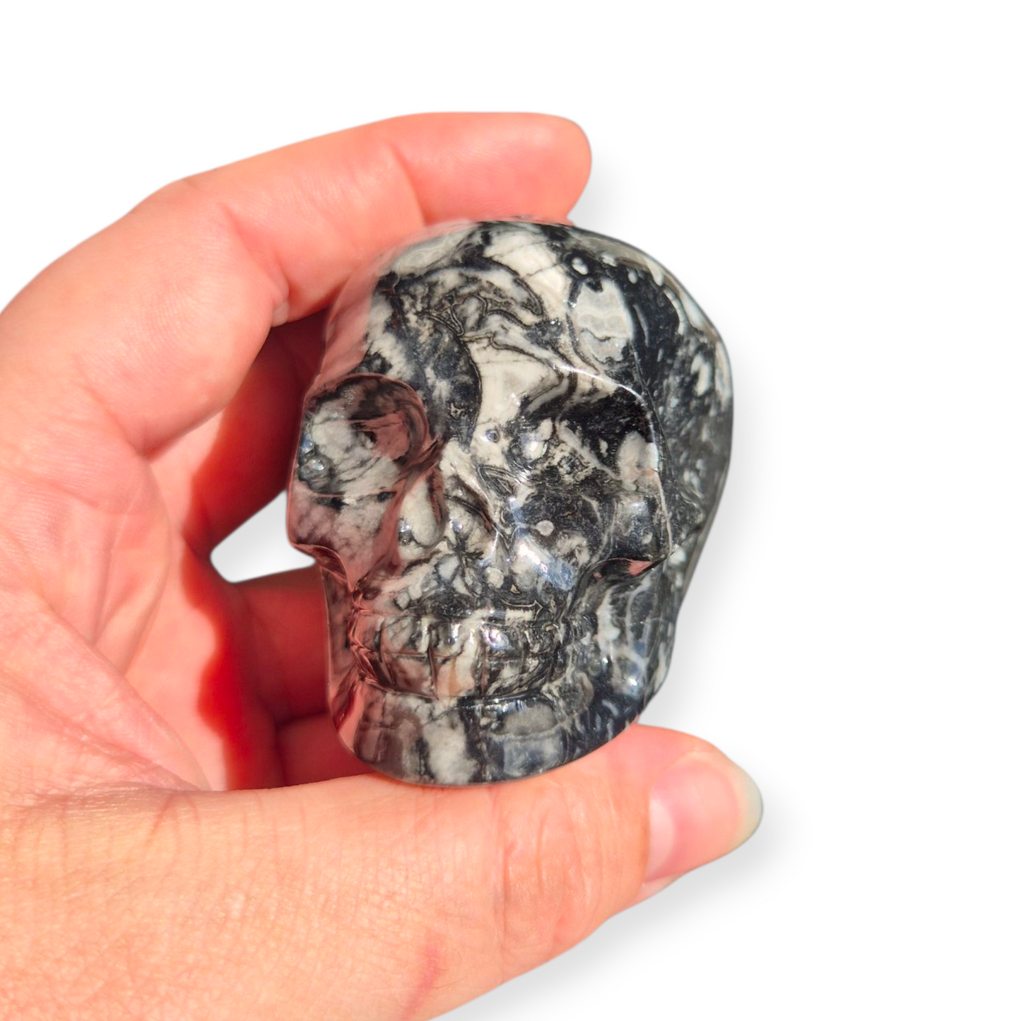 Crystals - Orthoceras Fossil Stone Skull